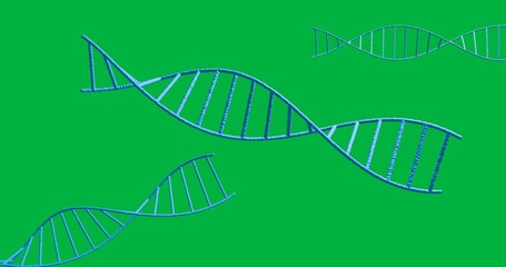 Wall Mural - Animation of macro 3d blue dna strand spinning over transparent background