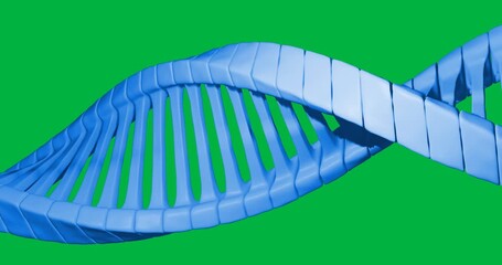 Wall Mural - Animation of macro 3d blue dna strand spinning over transparent background