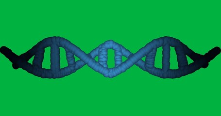 Wall Mural - Animation of macro 3d blue dna strand spinning over transparent background