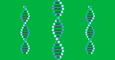 Wall Mural - Animation of macro 3d blue dna strands spinning over transparent background