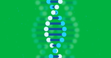 Wall Mural - Animation of macro 3d blue dna strands spinning over transparent background