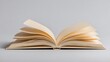 © snc - Open book with pages fanned out on a gray surface.