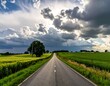 © De - Long road through green fields under a cloudy sky