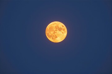 Wall Mural - A luminous full moon dominates a clear night sky, casting a soft, ethereal glow, peaceful, beautiful, full moon