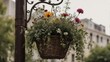© Stock Medae  - Hanging Basket of Flowers on a Street Lamp Post.
