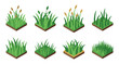 © 123levit - Isometric grass tile set: lush green lawn square with varied grass types