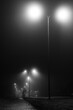 © glow.silver - a street light on a foggy night