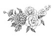 © mashikomo - Vector hand-drawn illustration of a bouquet. Black and white sketch of beautiful flowers.