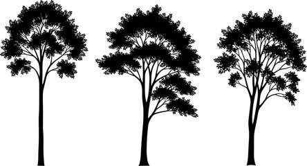 Black Tree Silhouettes Set Isolated on White Background – Diverse Forest Shapes for Nature, Landscape, Botany, and Design Projects