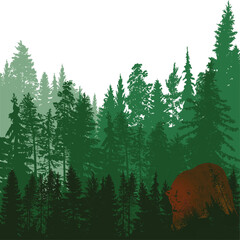 Wall Mural - firs green solid forest on white background