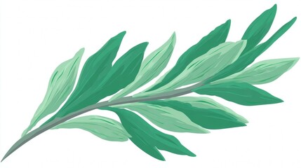 Fresh green leaves and a single leaf from a plant or tree branch, often isolated on a white background, represent nature, botany, and herbal ingredients