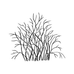 Wall Mural - Winter dry bush. Hand drawn vector illustration.