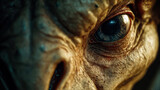 Close-up of a gray alien eye with textured skin and dramatic lighting.