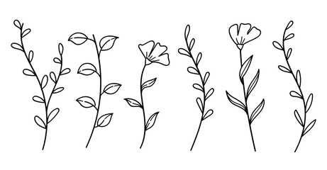Wall Mural - Minimalist botanical abstract wildflower line art drawing collection. Vector illustration.