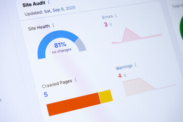 Digital screen displaying a detailed site audit report with site health at 81%, showing important errors, warnings, and crawled pages for website performance analysis