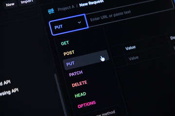 API development tool interface displays various HTTP request methods, with a mouse cursor selecting the PUT option for web programming projects