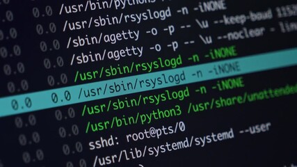 Green programming code on a dark monitor screen, showcasing complex system operations, data security protocols, and advanced software development processes. Zoom