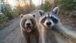 © pibi37.studio - Bear And Raccoon Taking A Selfie On A Forest Trail. Playful Wildlife Moment Captured In Nature