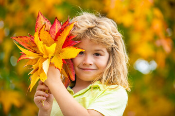 Wall Mural - Autumn portrait of child hold fall leaf. Cute child face near autumn fall leaf. Child headshot in autumn day with yellow maple and oak leaves. Autumn foliage with child dreamy face closeup.