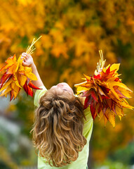 Wall Mural - Blonde kid portrait with autumn leaves. Little boy on a dreamy fall day in the autumn park. Childhood fun with falling maple leaves outdoors. Autumn day with a child. Kids face in autumn fall leaves.