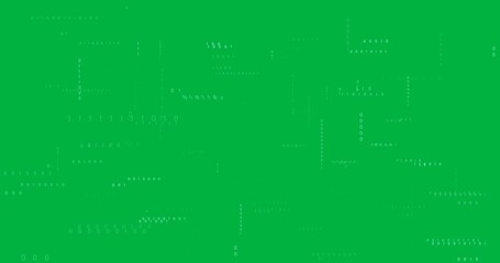 Wall Mural - animation of binary coding and data processing moving over transparent background