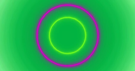 Wall Mural - Animation of multicoloured neon circles pulsating on transparent background