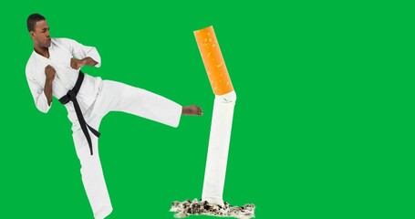 Wall Mural - African american male martial artist kicking cigarette with copy space on transparent background