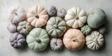 Pastel heirloom pumpkins flat lay