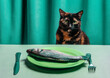 © VISTA by Westend61 - Cat waiting at table with raw fish on green plate in humorous setting