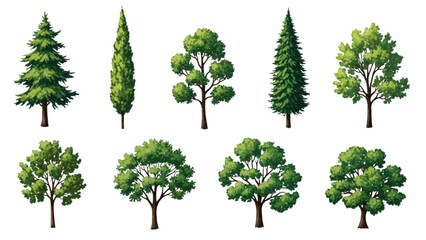 Wall Mural - Top View Green Trees Vector Set – Botanical Elements for Outdoor Plan, Map, and Architecture Drawing