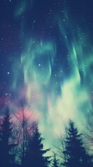 Wall Mural - Northern lights outdoors nature night.