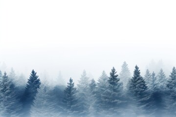Naklejka na meble Pine trees border mist scenery nature.