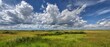 © Ajay - Grassland panorama under blue sky with towering cumulus clouds, open plains summer scenery.