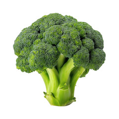 Wall Mural -  fresh broccoli head isolated on white background