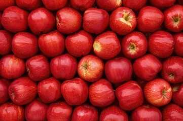 Wall Mural - A colorful pile of crisp apples, emphasizing their shiny red surface and organic charm.