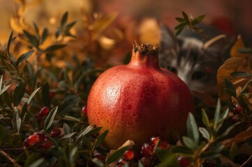 Wall Mural - Close-up of ripe pomegranate during fall season, nature and health theme