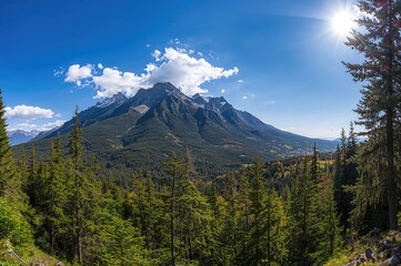 Wall Mural - Scenic mountain view surrounded by forest