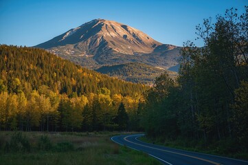Wall Mural - Daytime mountain route with trees in the foreground