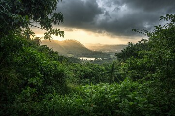 Wall Mural - Verdant scenery in the rainy season