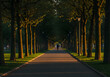 © azizah - Person walking down a tree-lined path in a park, with sunlight creating long shadows.