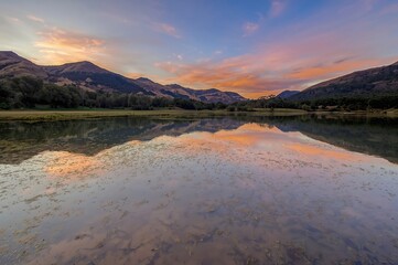 Wall Mural - Sunset mirrored on a serene lake in a natural reserve