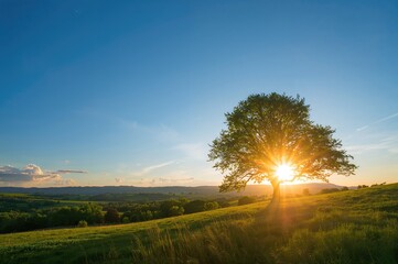 Wall Mural - The sun rises above the horizon.