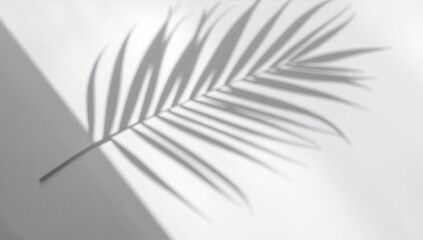 Wall Mural - Palm leaf silhouette against a white textured backdrop