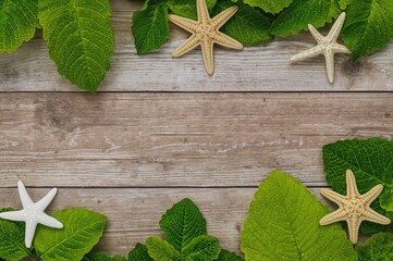 Wall Mural - Wooden surface adorned with green foliage and starfish in a summer motif