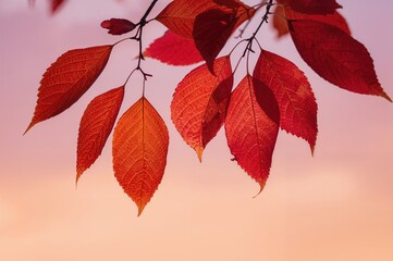 Wall Mural - Twilight Foliage Against the Horizon