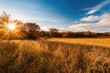 © vxnaghiyev - Bright fall meadow. Scenic natural background.