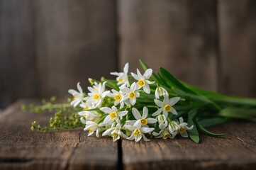 Wall Mural - bouquet of snowdrops against a rustic wooden background
