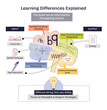 © VectorMine - Learning differences explained in a brief doodle diagram showing brain processing paths for reading, numbers, and writing, key objects, brain, arrows, labels. Doodle style diagram