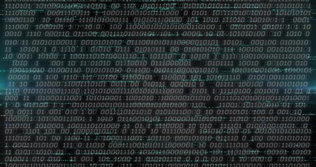 Wall Mural - Displaying binary code streams scrolling across dark digital display, with alphanumeric characters