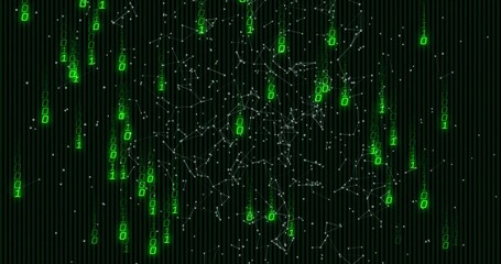 Wall Mural - Streaming green binary digits cascading through virtual environment, with white network nodes